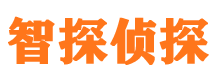 北宁调查公司